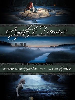 cover image of Agnith's Promise